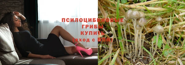 мет Алексеевка