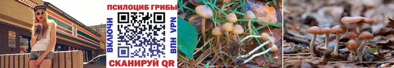 Псилоцибиновые грибы Psilocybe  blacksprut ТОР  Комсомольск 